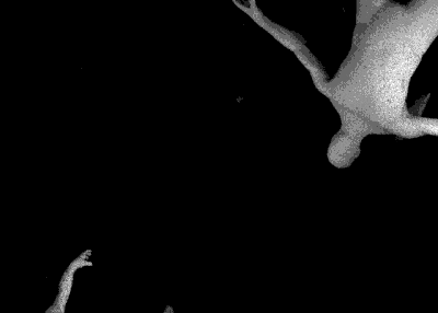 example image